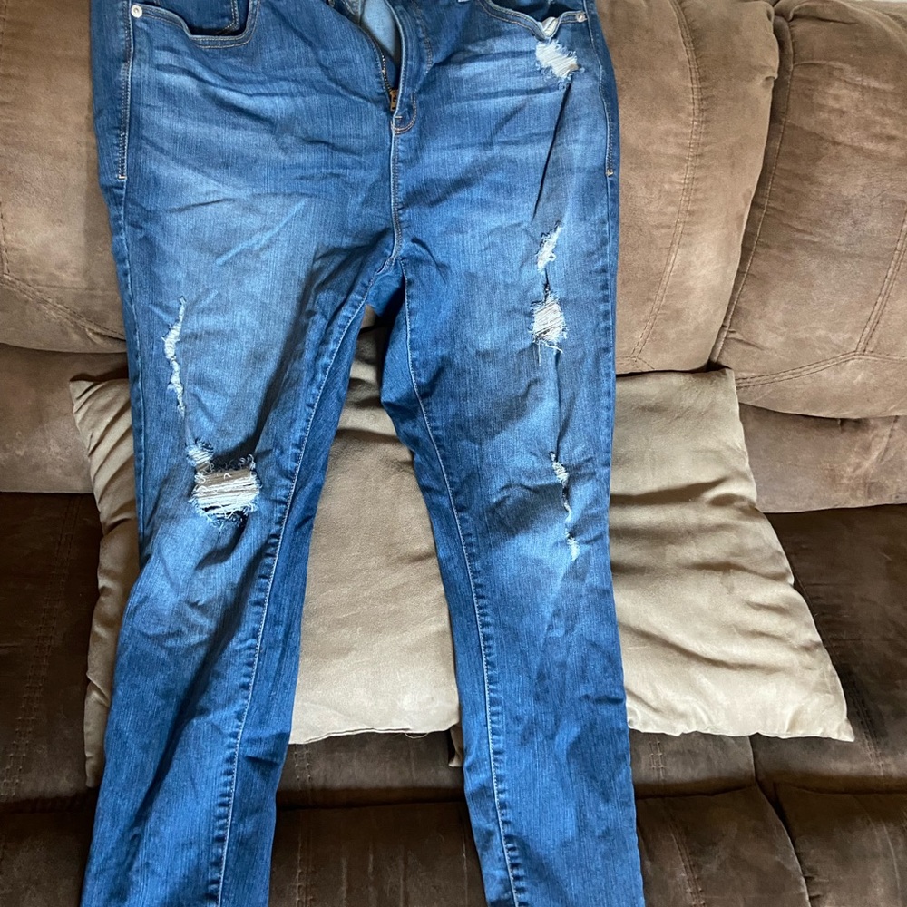 Brand new torrid jeans